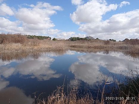Laguna Alboraj.